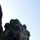 늑대와여우 이미지