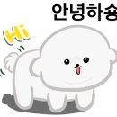 털찐강아지 이미지