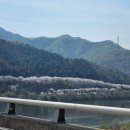 청평댐공인중개사사무소 이미지