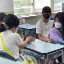 애견훈련소 보담 이미지