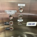 컵스앤펍스