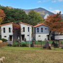 메르시 애견 펜션 이미지