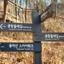동행길