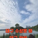 통기타 중급/야간 | 대구 수성못 뷰 산책 후기 대구 수성못 주차 정보까지