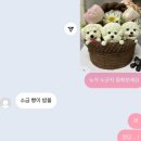 댕집 이미지