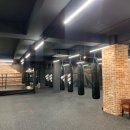 아스트로 복싱클럽 이미지