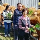 고향자녀농장 이미지