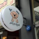 사랑스럽개 반려동물미용 이미지