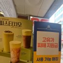 화성 향남 "빽다방화성향남중앙점" 상큼한 요거트아이스크림 솔직후기
