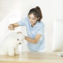 에버랜드 동물병원 이미지