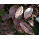 부자농원 이미지