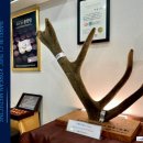 위풍당당한의원 이미지