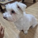 어시장 바로앞 펜션 이미지