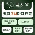 코지안이비인후과의원 네이버블로그