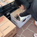 다들바위치유농장 | 군위 자연닮은 치유 농장 캠핑 + 숙박 (마음방) 2박 3일 찐 후기