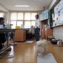 오남초등학교 이미지