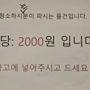 미르호캠프
