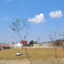 워킹애니멀스쿨 이미지