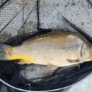 도장골낚시터 이미지