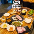 꼽슬돼지 네이버블로그