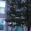 수완현진에버빌 1 이미지