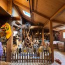 네덜란드풍차마을 | 네덜란드 - 풍차마을 잔세스칸스 여행기