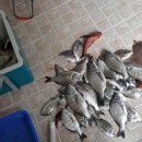 바다풍경펜션 이미지