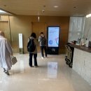 갤러리 스테이 | [서울 마포역 호텔] 서울 마포 호텔나루 엠갤러리 석식과 마포 신라스테이 숙소 및 조식후기