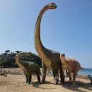 염성해수욕장 이미지