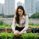 상순이네 하우스 | 중부지방, 남부지방 당근 파종 시기