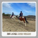 승마체험코스 | 제주도 승마 체험 추천 조랑말 체험공원 B+코스 후기