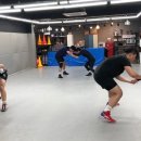 MSG 레슬링 이미지