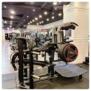 최고GYM
