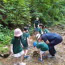 강원특별자치도청어린이집 이미지