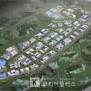 금금수수 이미지