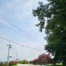 죽관메원 이미지