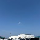 4월제주)지금 제주 꽃은 만개 우도는 사랑입니다(유채꽃명소 소색채본, 우도와 비양도)