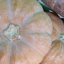 왕별농장 이미지