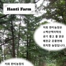 한티농장 이미지