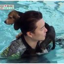 개밥주는 남자 이미지