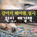 해피동물약국 이미지