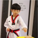 프리미엄 태권마루 태권도장 이미지