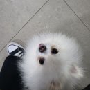 T스테이션부곡점 네이버블로그