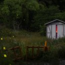 성진양행 이미지