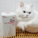 고양이츄르영양제 - 네바에토닉후기