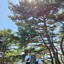 오름길구리 | 아차산 등산 초보도 쉽게 올라갈 수 있는 아차산성 코스