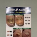 노브살롱 이미지