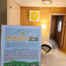 스토리벨리펜션 | 반려견과 함께 떠난 특별한 여름휴가, 양구 포레스트밸리펜션 스토리