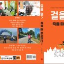 인디오가 이미지