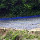 새솔농장 이미지